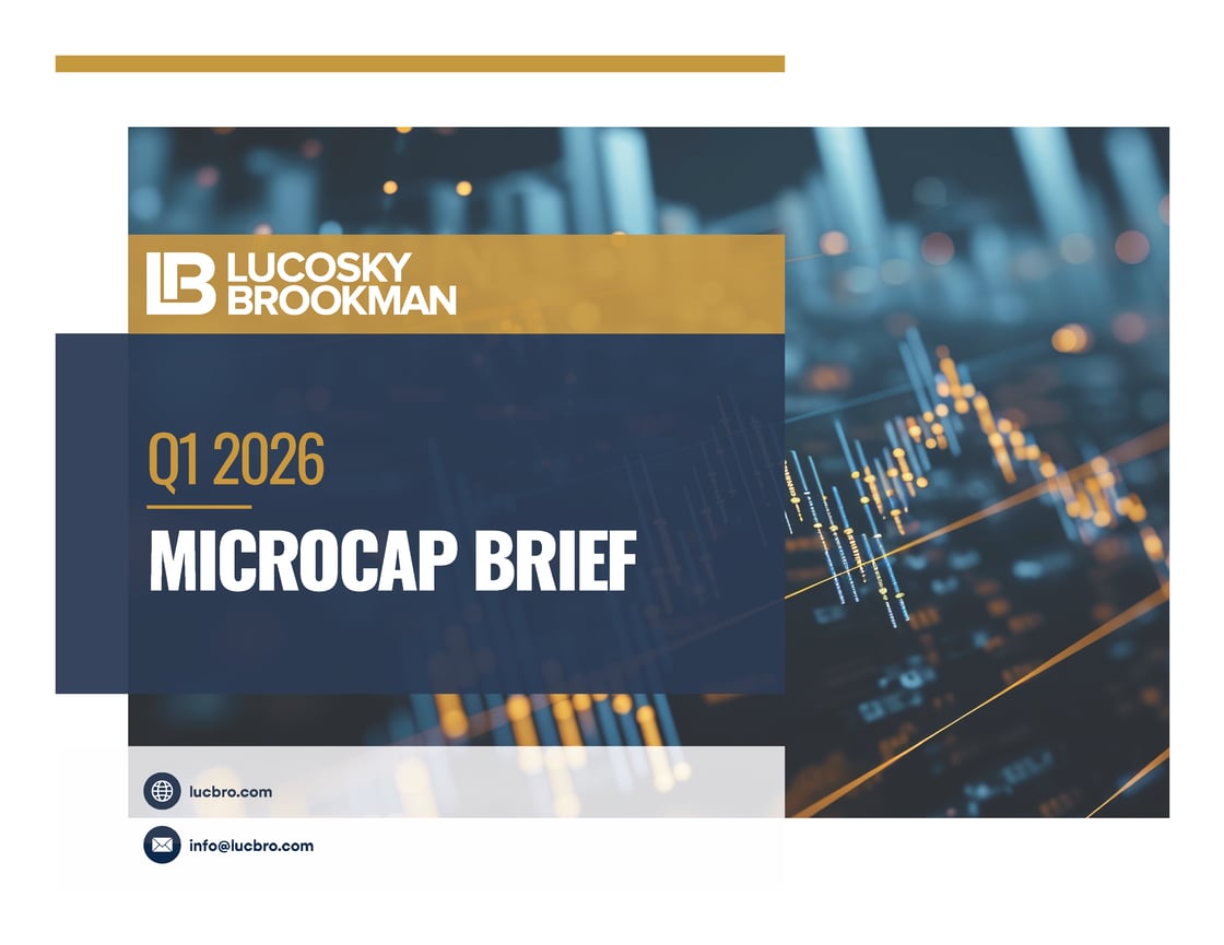 Q1 Mircocap Brief v2 (3)_Page_01